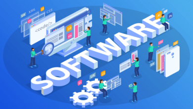 Introduction to the Software Development Company