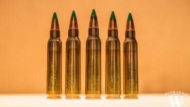 Red Green Tip Winchester 5.56 Ammo How Do They Differ