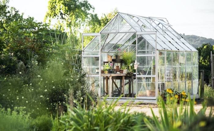 Tips on Using a Greenhouse