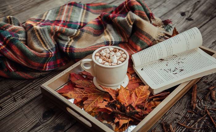 Fall Gifts are the Boost Your Mental Health Needs