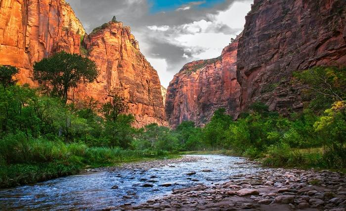 The Best Camping Sites In Zion National Park