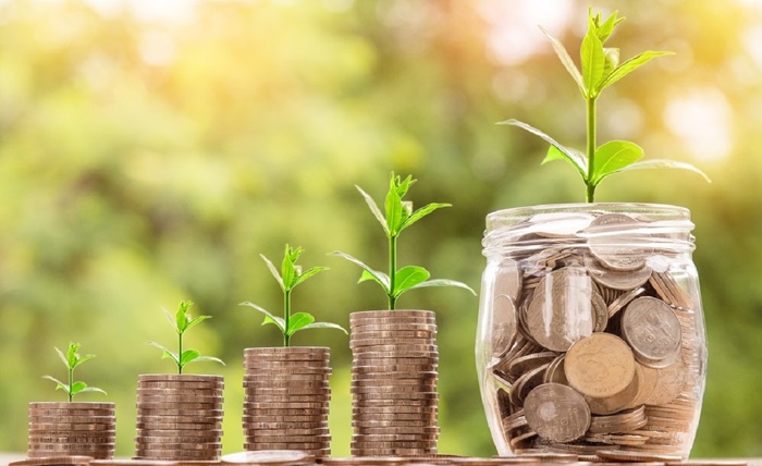 Mastering Financial Wellness A Guide to Smart Budgeting and Management