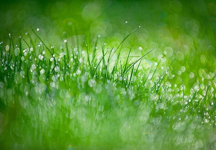 Bokeh 1 JodyDole 1